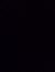 小汪 汪