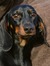 Betty