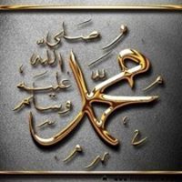 محمد المهدى