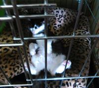 Emily Jane Nicholson