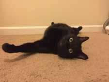 Rob
