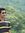Umesh K...