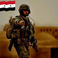 Mohammad Mohie Eldin