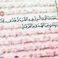 Shazalia Hasb Elnabe