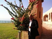 سلطان الدروبي