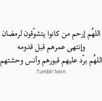 محمد التشيكي