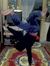 Amr Hassin