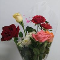 Nesma Sayed