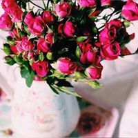 مريم الشامسي