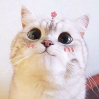 Tình Lạc