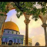 شريفة أبو شاويش