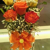 عائشة آل علي