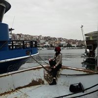 Gökçe Çetinkaya