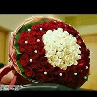 Shrook Abdullah