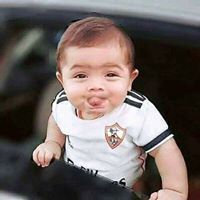 Hussein Fathi