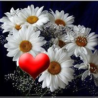 Алена Романова