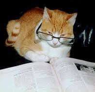 عديله عباسى