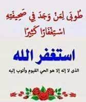 المنياوي رجب