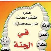 الطيار ميدو