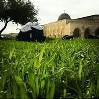 Ahmed Kamel