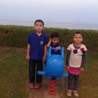 عبدالفتاح محمود