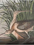 Searavens
