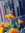 Vera 4theloveofwords | 4 comments