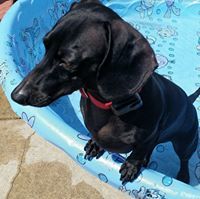 Kathleen Fleischmann