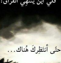 محامى لم