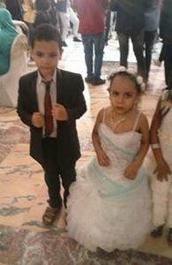 Hazem Elshandawilly