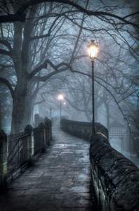 Sarah Shujja