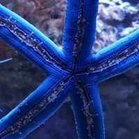 DavidandJamie Campbell