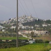 وائل محمود