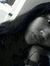 Widya S...