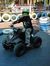 Firdaus...