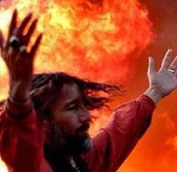 صائم فاروقی