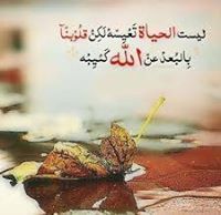 محمد الحريري