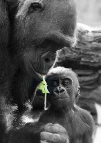 Дмитрий Попов