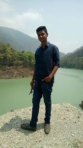 Hemant Roy