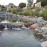 فرست برواري