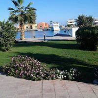 سامى السنبسى