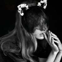 القطه السوداء