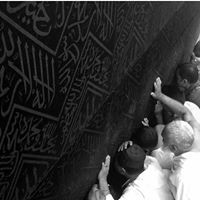 آلاء ابراهيم