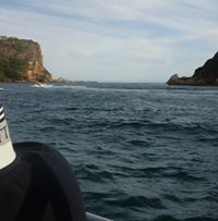 Deirdre Diedericks-Julius