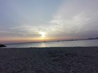 عبدالله مصاروة