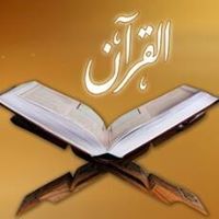Hassen M Saeed
