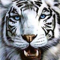 Carlos E. Wong Quesada