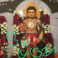 Seenu Vasan