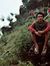 Bagus S...