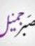 Ahmed M...